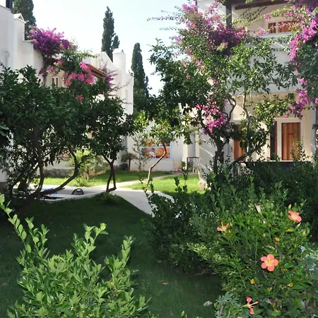 Summer Garden