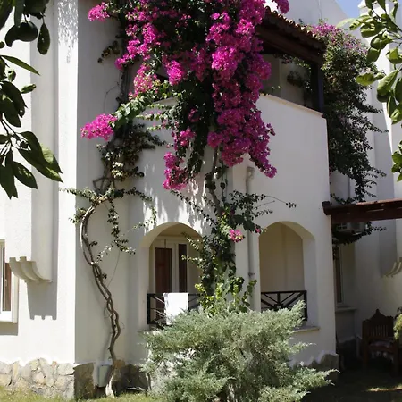 Apartahotel Summer Garden