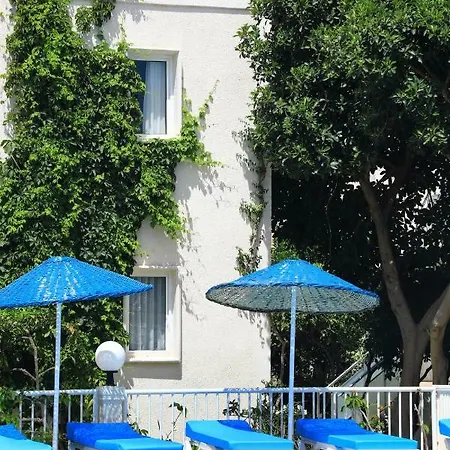 Summer Garden 3*