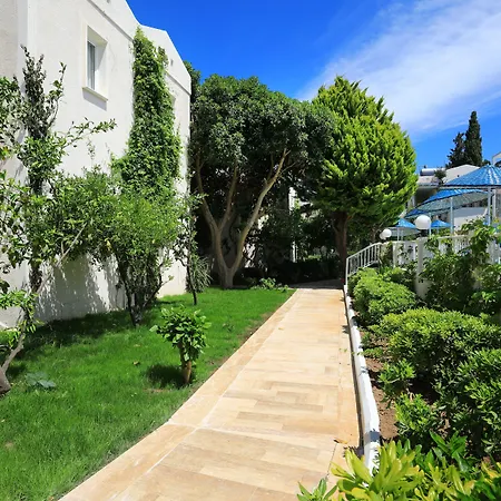 Summer Garden