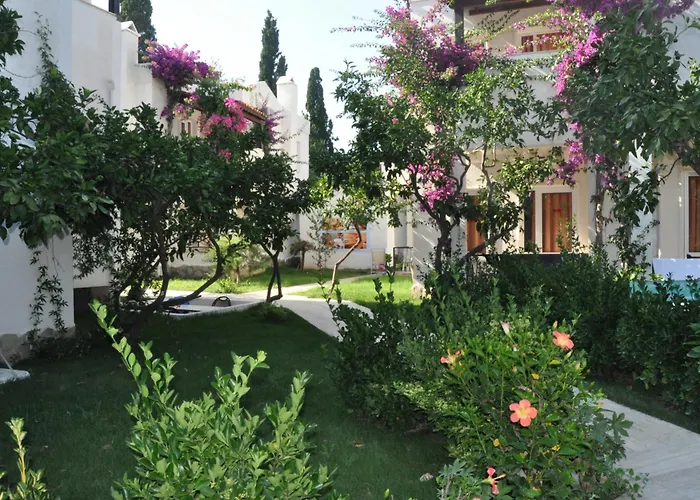 Summer Garden