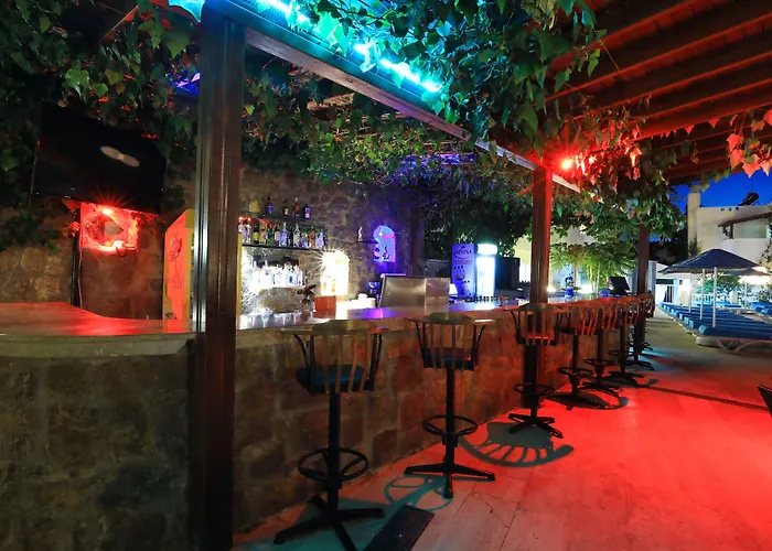 公寓式酒店 Summer Garden